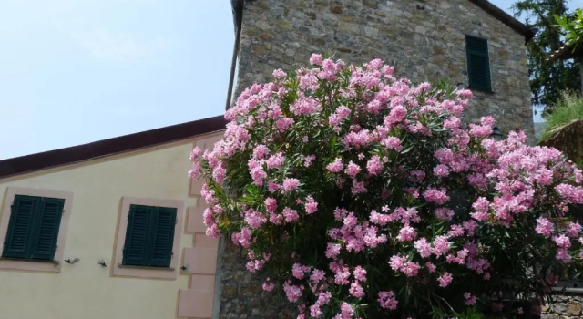 Апартаменты с 2 комнатами La Villa Antica delle Cinque Terre