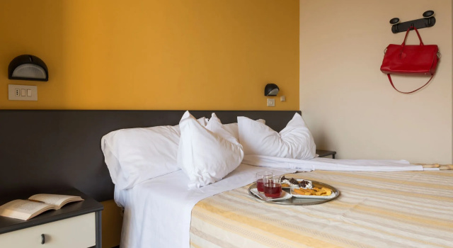 Одноместный номер Standard Hotel Airone