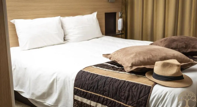 Двухместный номер Comfort Adonis Gapotel