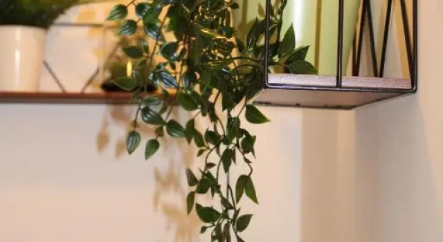 Номер Deluxe B&B Via Veneto