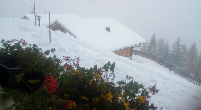 Chalet Niederhaushof, Забронировать Шале Ультимо Burgraviato