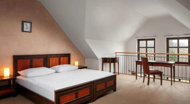 Семейный люкс Hotel Javor