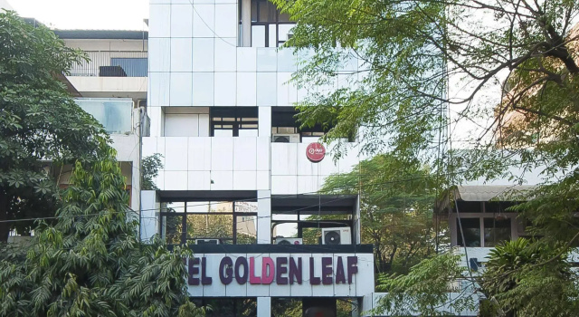 Golden Leaf