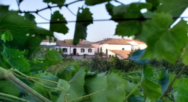 Casa Vacanze Etna, Забронировать Отель Пьедимонте-Этнео Этна