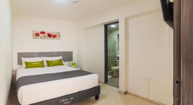 Двухместный номер Standard Ayenda 1055 Agora INN Corferias