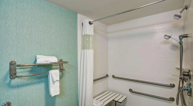 Двухместный люкс Hampton Inn & Suites Sarasota / Bradenton - Airport