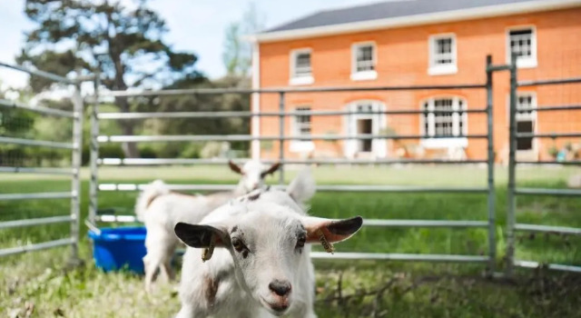 Reymerston Hall, Rezerwuj Bed and Breakfast Norwich Norfolk
