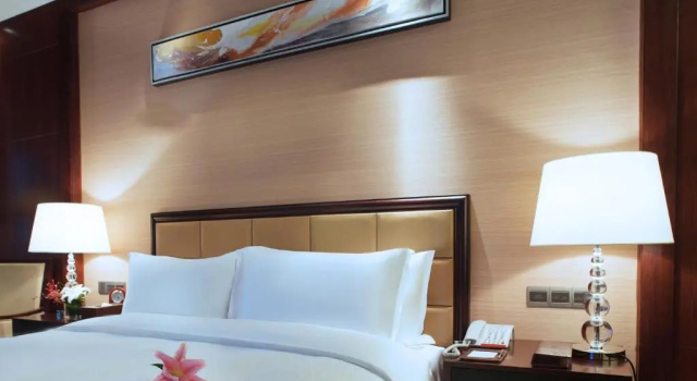Двухместный номер Standard с видом на горы C&D Hotel Putian