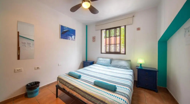Номер Standard La Tortuga Hostel