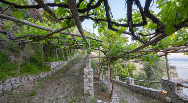 Cannaverde - Amalfi Coast Camp, Забронировать Отель Майори Побережье Амальфи