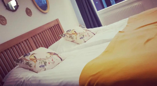 Двухместный номер Standard с видом на озеро Breanäs Hotell