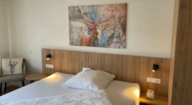 Двухместный номер Comfort Gasthaus Hirschenstube & Gästehaus Gehri