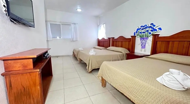 Четырёхместный номер Standard Hotel Quinta de La Rosa