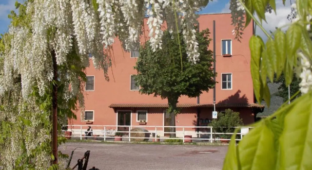 The Farm House, Rezervați Sejur la fermă Guidonia 