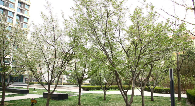 Rich & Young Seasons Park Service Apartment