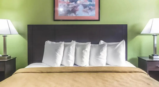 Standart çift kişilik oda Suburban Studios