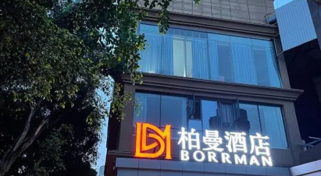 Borrman (Chongqing Bishan Qinggang)