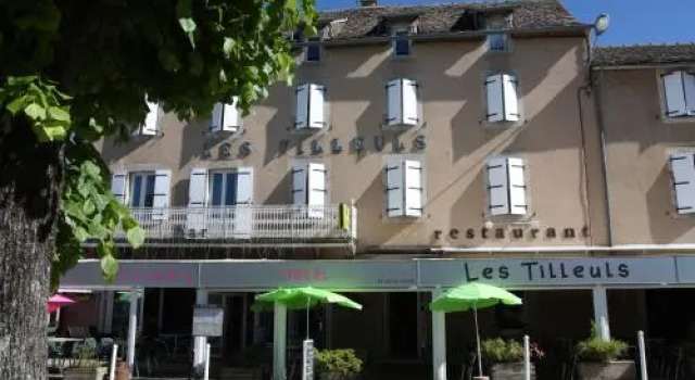 Hôtel Les Tilleuls de Pareloup à Salles-Curan, Забронировать Отель Саль-Кюран 