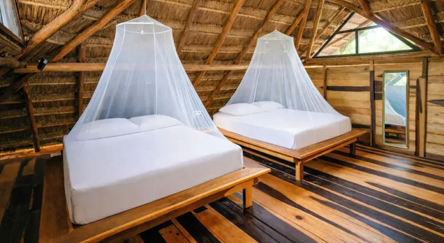 Бунгало Deluxe Treehouse Tulum H2Ojos