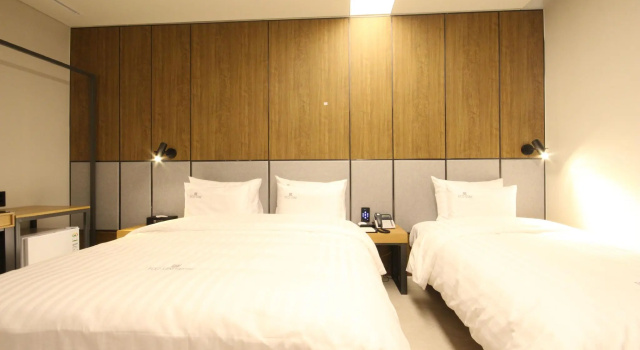 Двухместный номер Deluxe Hotel Eco stay