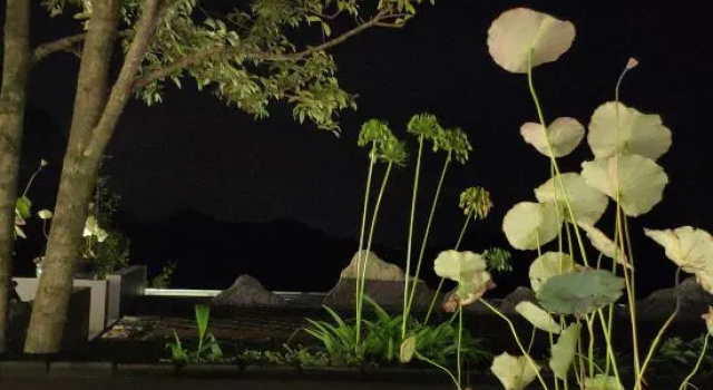 Yunyin Qingcheng Hot Spring Resort Hotel