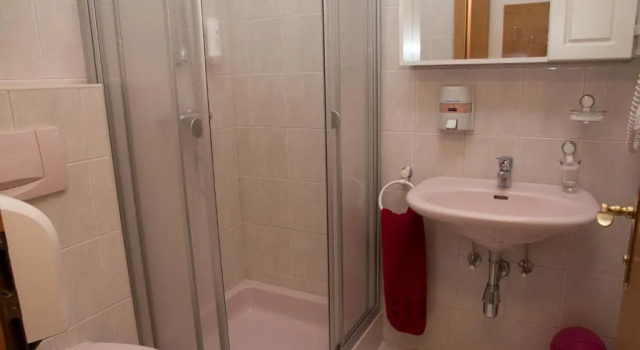 Standard Single room with balcony Hubertushof