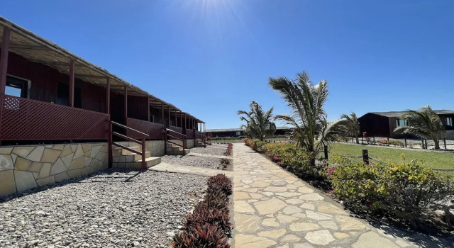Двухместный номер Standard Turtle Beach Resort