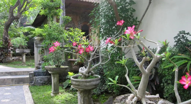 Galang Kangin Bungalows