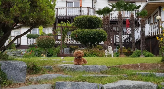 Haemaru pension, Забронировать Гостевой дом Отели Кодже с парковкой, Парковка