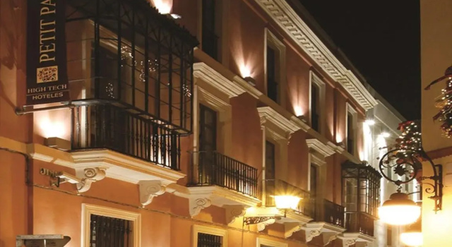 Одноместный номер Petit Palace Marques Santa Ana