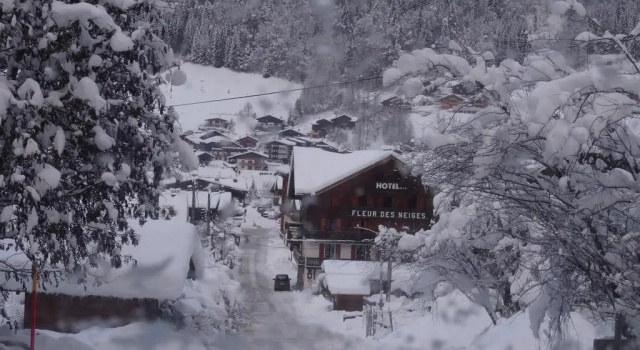 Fleur Des Neiges