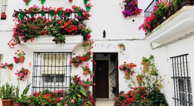 Beautiful studio in Vejer, Забронировать Апартаменты/квартира Вехер-де-ла-Фронтера Коста-де-ла-Лус