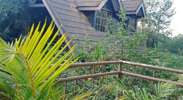 The Annex at 64 : Cozy, rustic cottage/treehouse, Rezerwuj Dom wakacyjny Domy Wakacyjne w Nairobi, Domek
