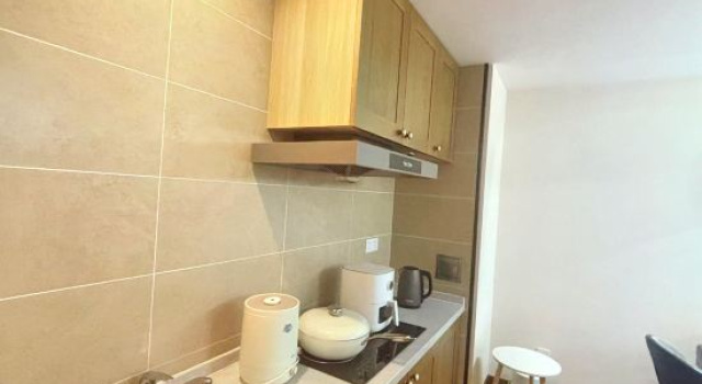 Люкс Vanke Songhua Lake Qingshan Cooked Snow Homestay