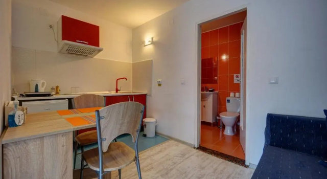 Семейная студия Vila Alba Brasov
