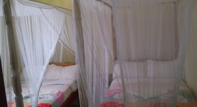 Номер Standard Gralins Hotel