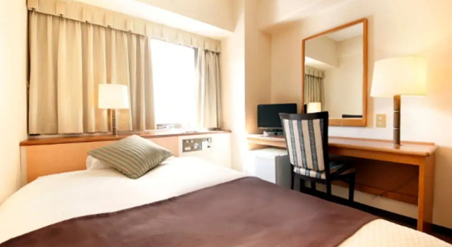 Одноместный номер Economy Central Hotel
