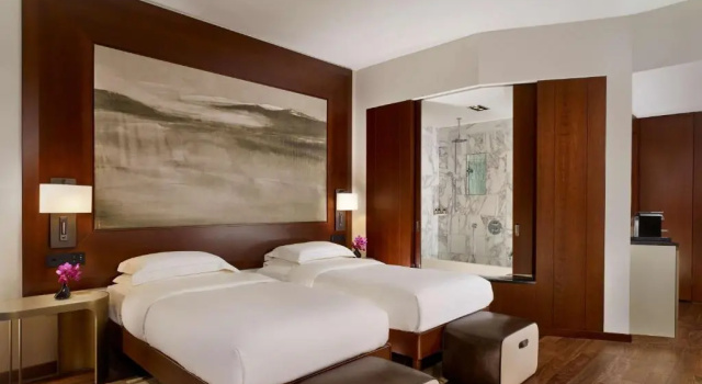 Люкс Park Corner с 2 спальнями Park Hyatt Zurich – City Center Luxury