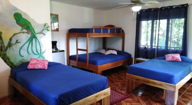 Семейный номер Standard с видом на сад Dolce Uvita