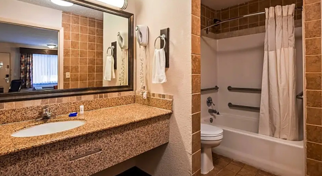 Номер Standard Best Western Braselton Inn