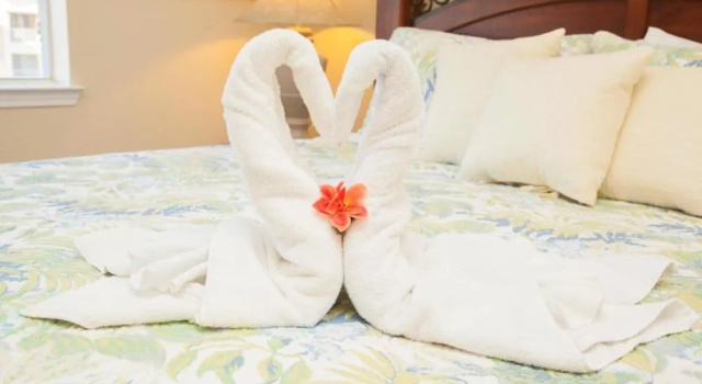 Nemo's Nest