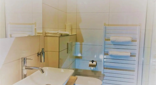 Номер Standard Haarlem 49