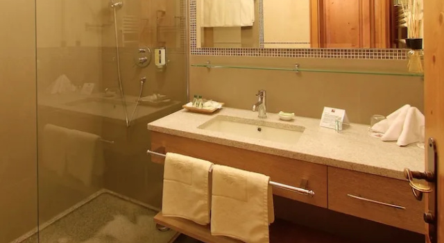 Двухместный номер Standard с балконом и с видом на горы Hotel Alpin Spa Tuxerhof