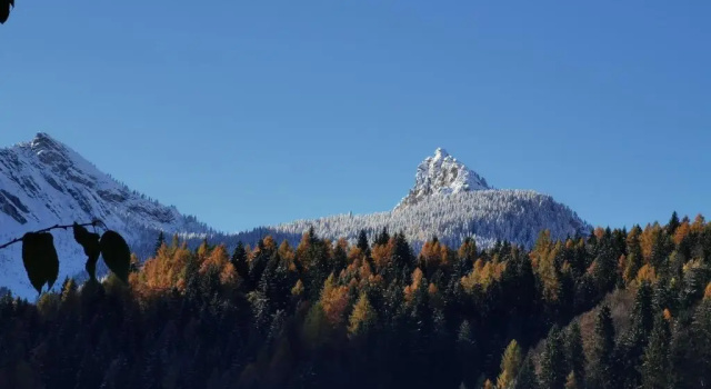 Номер Deluxe Dolomiti house