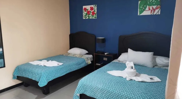 Номер Deluxe Hotel Palmera Real Hot Springs