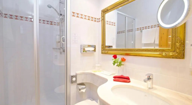 Двухместный номер Standard Park Hotel Laim