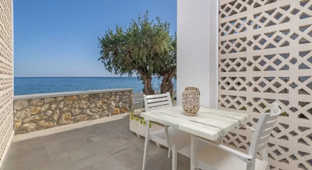 Premium Estúdio ammos stegna studios