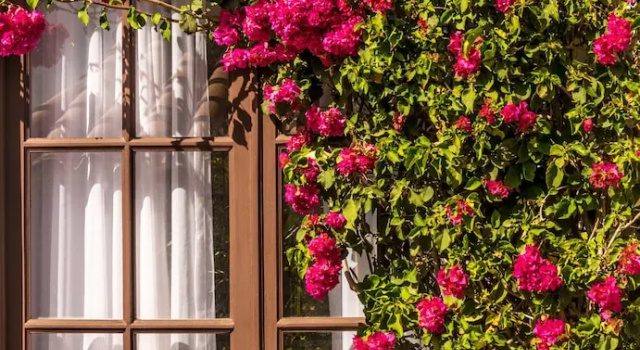 Двухместный номер Standard El Jardin De Su Merced B&B