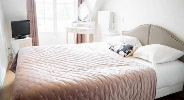 Двухместный номер Classic Château d'Ermenonville