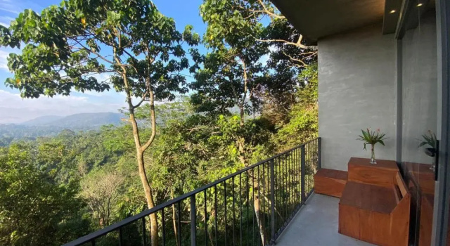 Двухместный номер Deluxe Bogala Village Eco Resort
